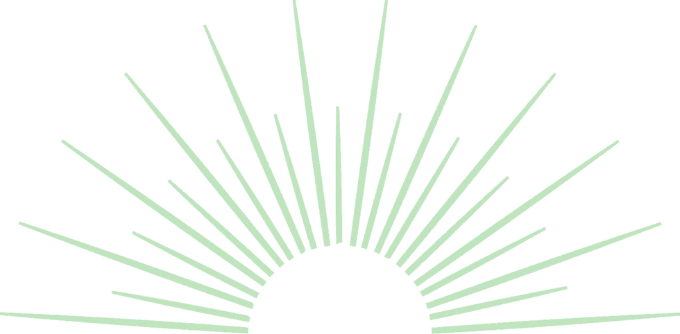 Asset 1_300x_edited.png