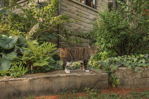 PHOTOGRAPHY | EMMA KWAN | OTTAWA,ON