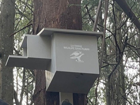 Owl size nest box provided by La Trobe Wildlife Sanctuary