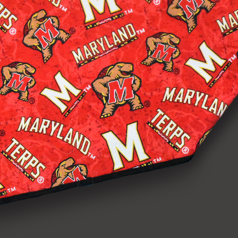 Thumbnail: Terps
