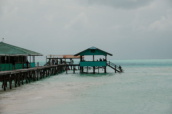 DSC01377.jpg