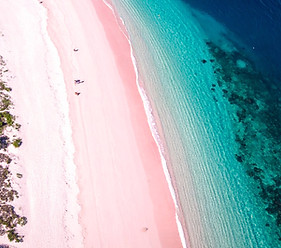 website logos (42)_edited.jpg