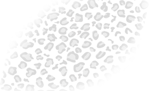 Leopard-Splash-15%.png
