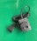 Minnow Charger