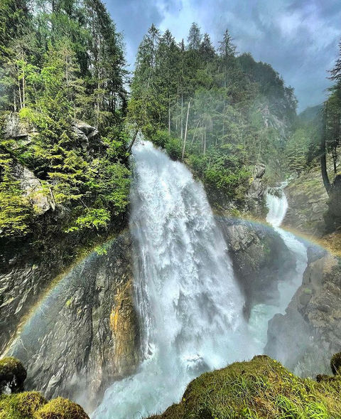 pure nature