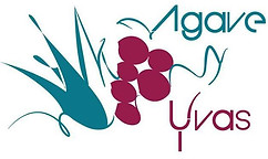 AGAVE Y UVAS.jpg