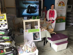 24232845_1671725082890264_599249826680868919_n