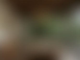 11. Cash-Out Refinance: Unlock Equity While Maintaining Positive Cash Flow | How to REI 101 Series