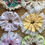 Thumbnail: Frilled Scrunchies