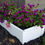 Thumbnail: Handy Bed 1 x 2 Raised Garden Bed Kit