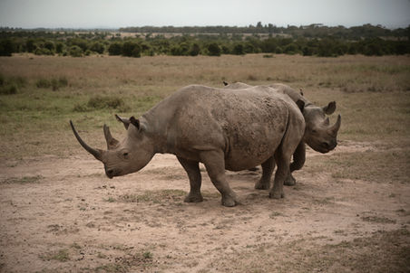 relais signature world, ode travel lifestyle magazine, lifestyle magazine, luxury travel magazine, ybsc communication, fairmont mount kenya safari, yamile sadok,