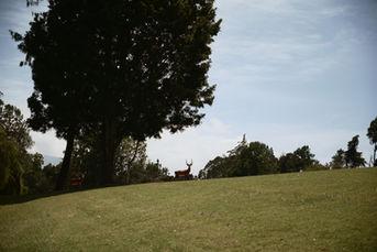 relais signature world, ode travel lifestyle magazine, lifestyle magazine, luxury travel magazine, ybsc communication, fairmont mount kenya safari, yamile sadok,