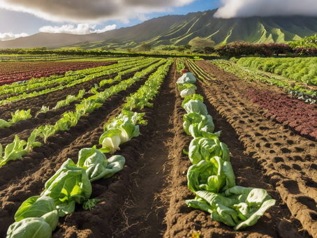 Support Local Agriculture with La'au Kukahi Farm in Maui