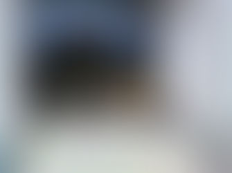 Gangguan Mental pada Kucing dan Cara Menanganinya