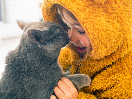 Tips Memelihara Kucing Bersama Anak - Anak