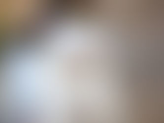 Ini Dia 10 Ras Kucing Paling Populer di Dunia!