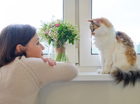 5 Hal yang Wajib Kamu Ketahui Sebelum Menyewa Jasa Animal Communicator