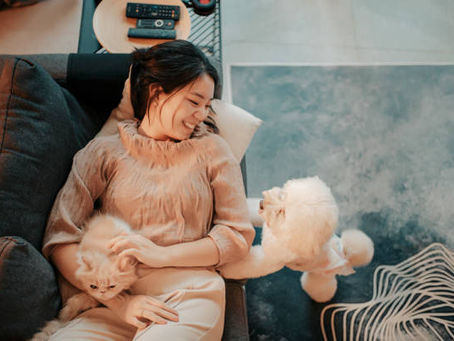 9 Tips Sukses Merawat Anjing dan Kucing Supaya Akur