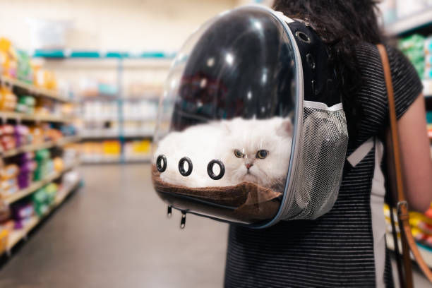 Kucing putih berada dalam tas kucing model see-through yang dibawa seorang wanita di lorong supermarket