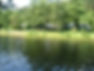 DSC00999.jpg