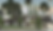 Snapshot_027 copysm.png