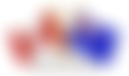 Be Aware of Fraudulent Scams, hire a certified PR Visa consultant