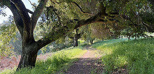 Main image of the hike