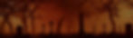 festecil website bg.jpg