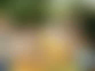 Família perfeita ainda molda expectativas de pais e mães