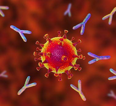 antibodies-medium.png