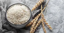 Rice Ceramides Supplementation and Skin Health