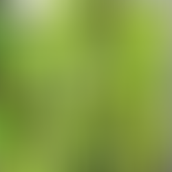 Sally Arnold Gold Award - Where Art Meets Architecture