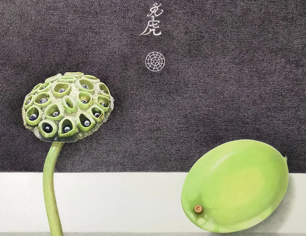 Nelumbo nucifera_pod_seed 2022_edited.webp