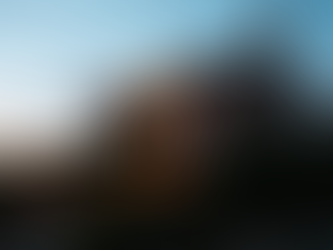 كهرباء الفلل