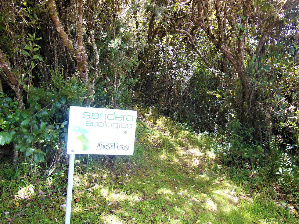 Thumbnail: Residential Lot | Altos de Potosí Condominium