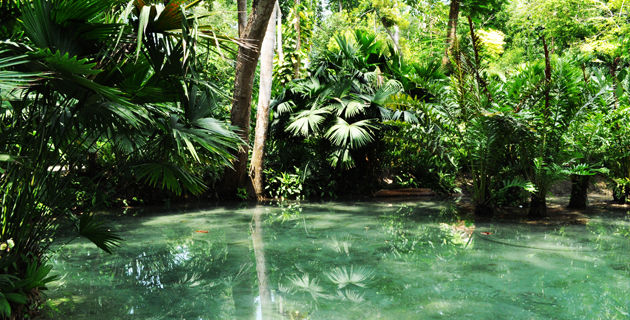 Jardín Botánico de Turbaco - Cartagena - Bolívar
