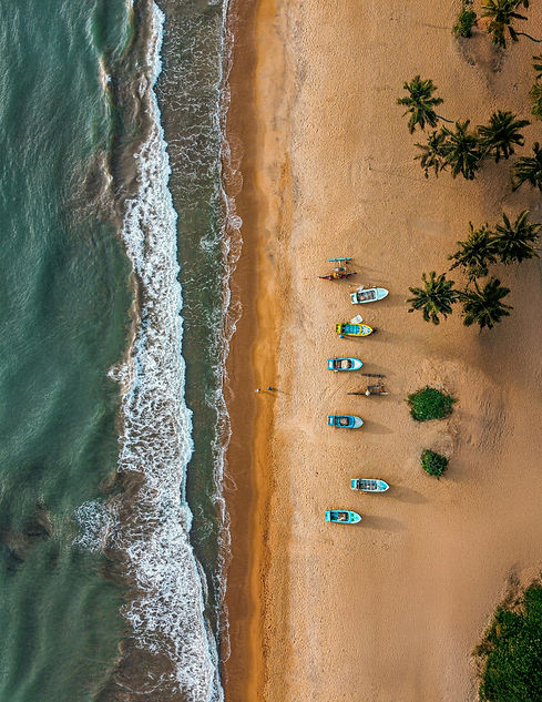 sajith-sukumaran-Udb75nXcBJ0-unsplash.jpg