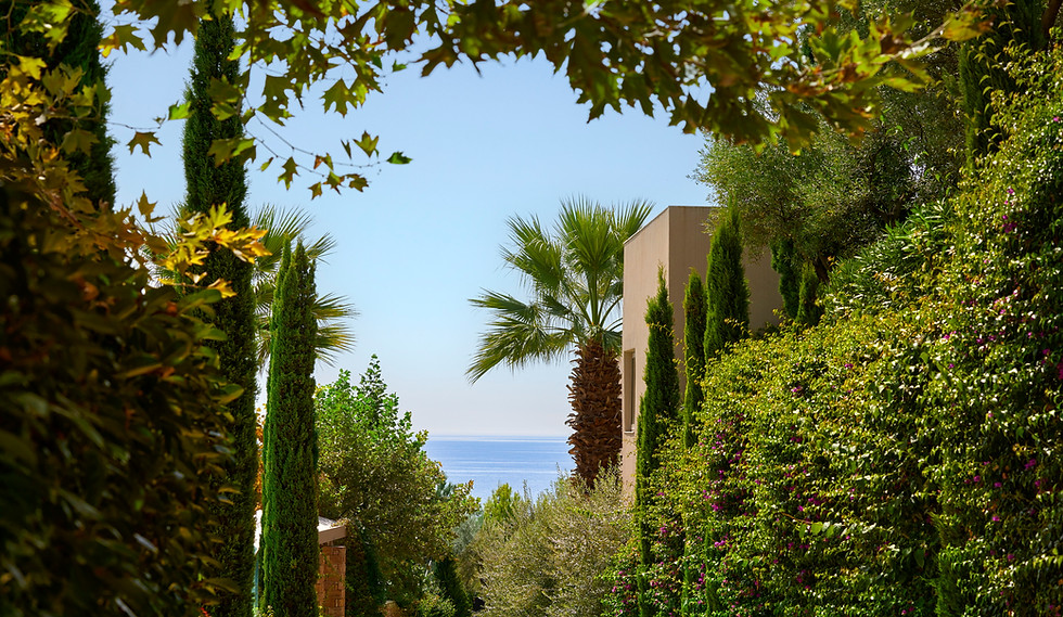 Ikos_Gastronomy22-2253_2880x1688.jpg