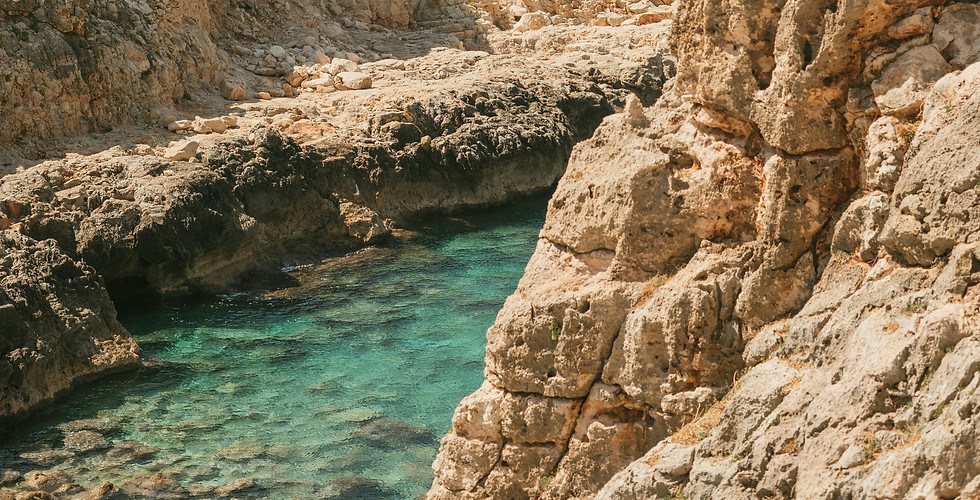 dorien-beernink-WyCXApK-NJQ-unsplash.jpg
