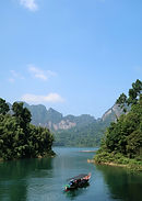 Khao Sok rainforest in southern Thailandunsplash (1).jpg