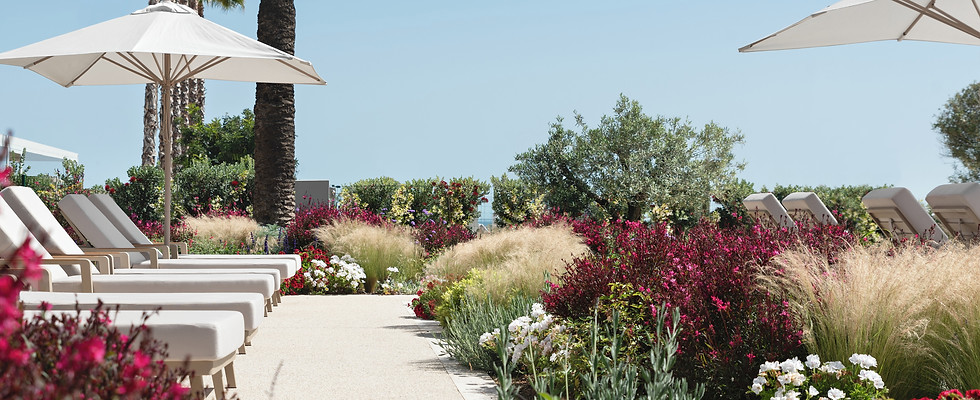 Ikos Andalusia _Lush gardens 2_2880x1985.jpg