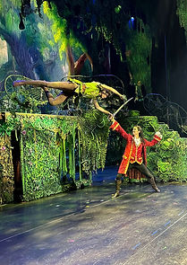 ryan perry marks captain hook peter pan