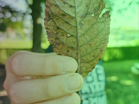 Fotografija u rujnu i listopadu