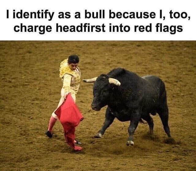 Dear Anita: Texting and Bullfights