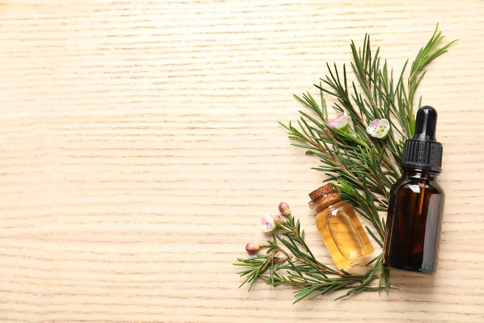 Óleo Essencial de Melaleuca