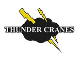 Company Logo_Thunder Cranes.jpg