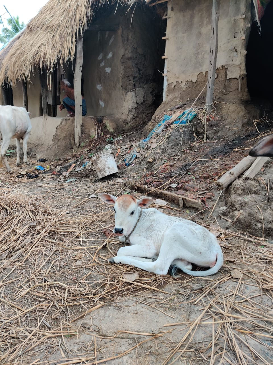 An Experience etched on my Soul & to be cherished forever :)