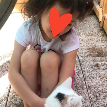 Lieu de vacances chat entre Saint Nazaire / Pornichet Proche Guérande La Baule Hotel félin Pension individuelle Chatterie familiale Garde Chats Bien-être 44 Loire-Atlantique