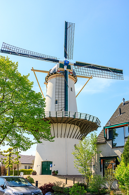 molen.jpg