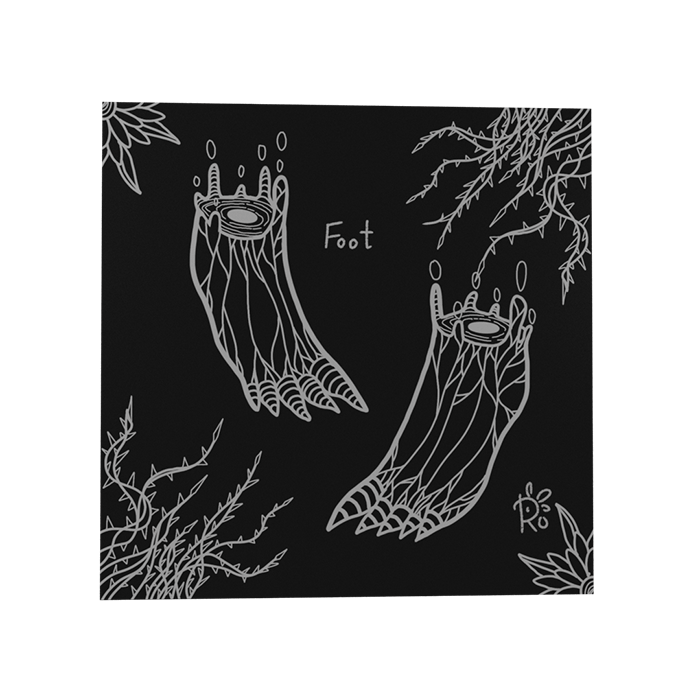 foot.gif